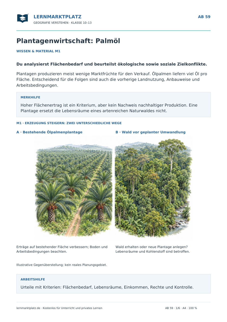 Ölpalmenplantage und Naturwald – Arbeitsblatt mit hochwertiger Schulbuchillustration