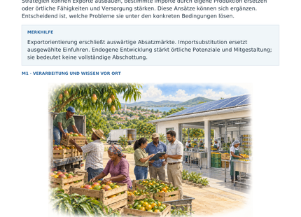 Entwicklungsstrategien beurteilen – illustriertes Geografie-Arbeitsblatt für Klasse 10–13