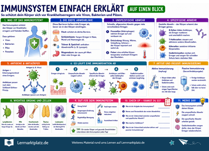 Immunsystem einfach erklärt – Abwehrkräfte, Erreger & Immunantwort verstehen – Lernposter / Lernplakat als PDF