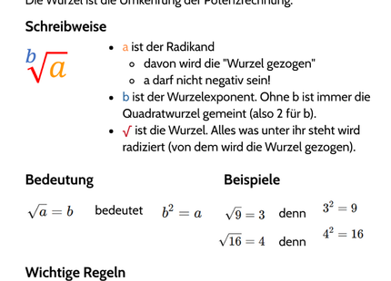 Wurzel – Grundidee & Bedeutung – Lernkarte (kostenloses PDF)