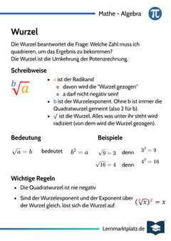 Wurzel – Grundidee & Bedeutung – Lernkarte (kostenloses PDF)