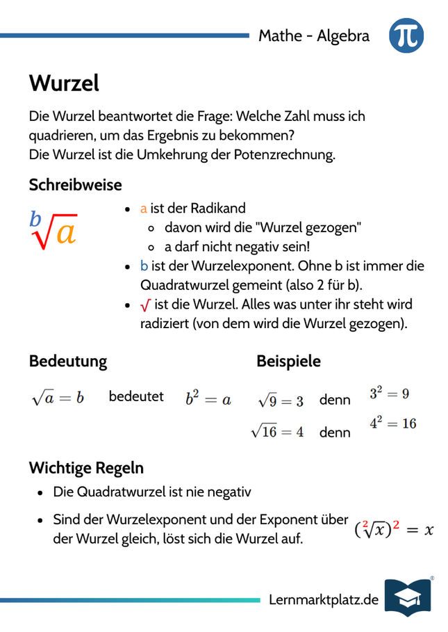 Wurzel – Grundidee & Bedeutung – Lernkarte (kostenloses PDF)