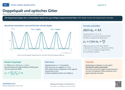 Physik-Lernposter: Doppelspalt und optisches Gitter – A4 und A3 quer
