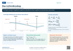 Physik Das Lichtmikroskop | Lernposter A4 & A3 (PDF)
