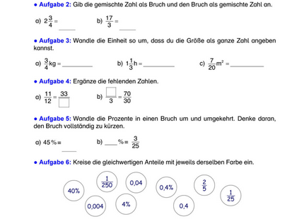 Wissenstest Mathematik Klasse 6 – Brüche, Dezimalzahlen, Terme & Geometrie