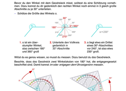 Arbeitsblatt: Winkel messen – Geodreieck, Schätzen & Innenwinkelsumme