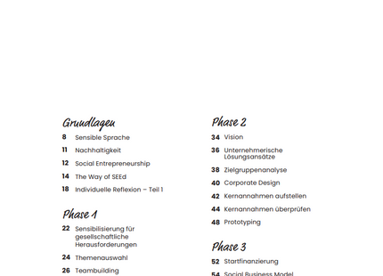SEEd Playbook: Social Entrepreneurship im Unterricht