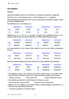 Spanisch Arbeitsblatt: Adjektive – Formen, Stellung & Gebrauch