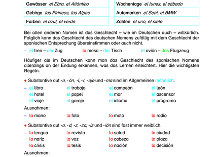 Spanisch Arbeitsblatt: Das Geschlecht der Substantive – Regeln, Beispiele & Übungen