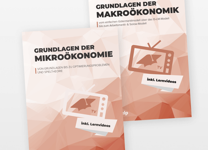 VWL Lernhefte Set: Makro & Mikro