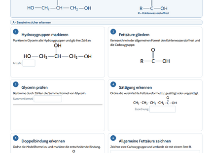 Fette: Aufbau, Veresterung & Verseifung – kostenloses Chemie-Arbeitsblatt mit Lösungen (PDF)