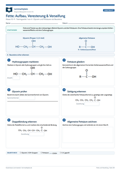 Fette: Aufbau, Veresterung & Verseifung – kostenloses Chemie-Arbeitsblatt mit Lösungen (PDF)