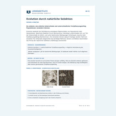 Evolution durch natürliche Selektion – kostenloses Biologie-Arbeitsblatt mit Lösungen (PDF)