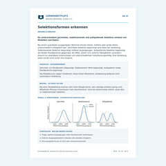 Selektionsformen erkennen – kostenloses Biologie-Arbeitsblatt mit Lösungen (PDF)