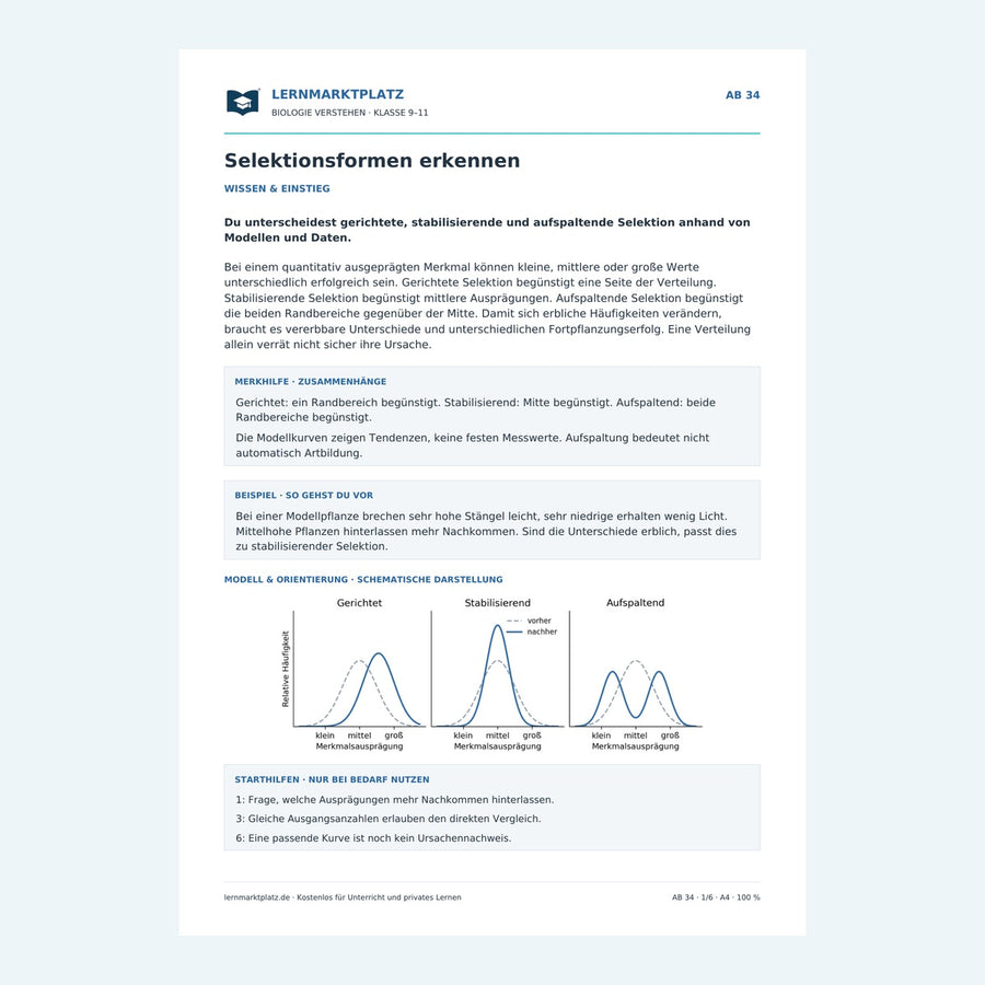 Selektionsformen erkennen – Vorschau des Arbeitsblatts