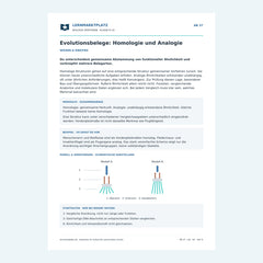 Evolutionsbelege: Homologie und Analogie – kostenloses Biologie-Arbeitsblatt mit Lösungen (PDF)