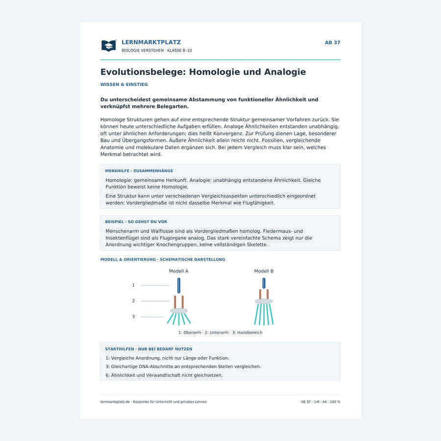 Evolutionsbelege: Homologie und Analogie – Vorschau des Arbeitsblatts