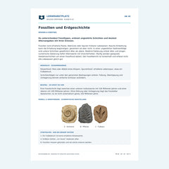 Fossilien und Erdgeschichte – kostenloses Biologie-Arbeitsblatt mit Lösungen (PDF)