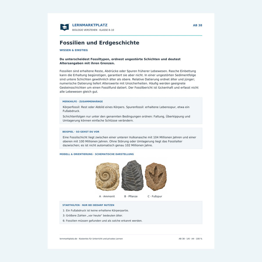 Fossilien und Erdgeschichte – Vorschau des Arbeitsblatts