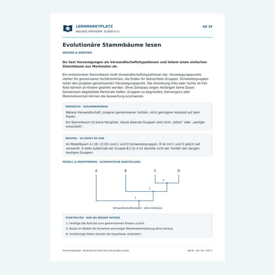 Evolutionäre Stammbäume lesen – Vorschau des Arbeitsblatts