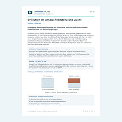 Evolution im Alltag: Resistenz und Zucht – kostenloses Biologie-Arbeitsblatt mit Lösungen (PDF)