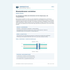 Biomembranen verstehen – kostenloses Biologie-Arbeitsblatt mit Lösungen (PDF)