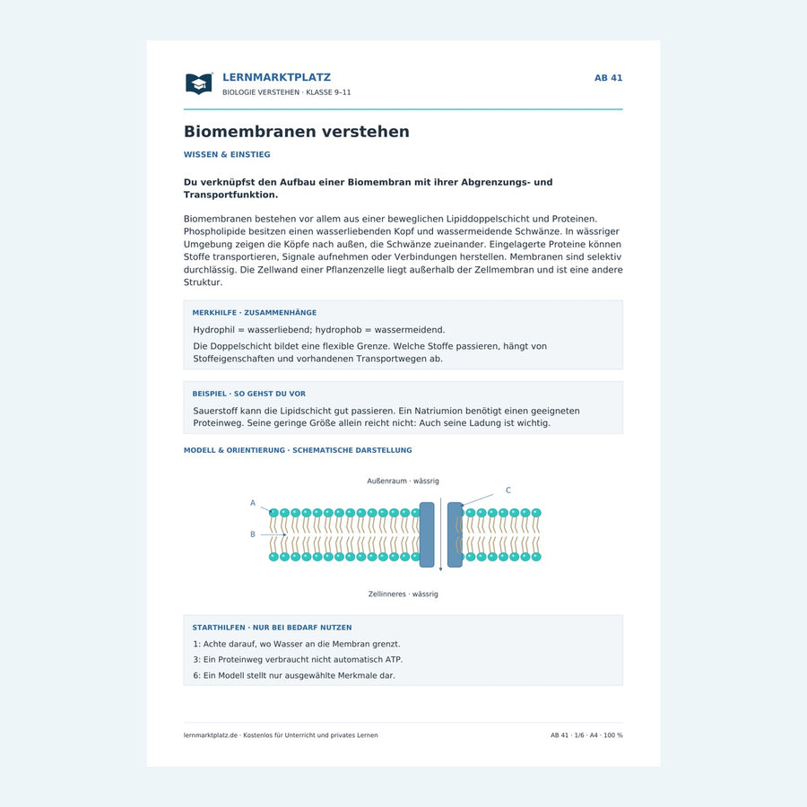 Biomembranen verstehen – Vorschau des Arbeitsblatts
