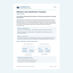 Diffusion und erleichterter Transport – kostenloses Biologie-Arbeitsblatt mit Lösungen (PDF)