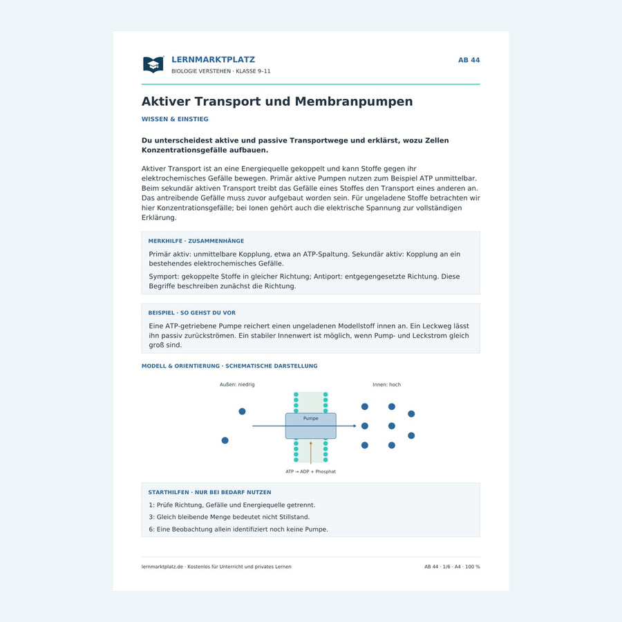 Aktiver Transport und Membranpumpen – Vorschau des Arbeitsblatts