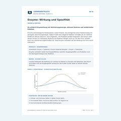 Enzyme: Wirkung und Spezifität – kostenloses Biologie-Arbeitsblatt mit Lösungen (PDF)