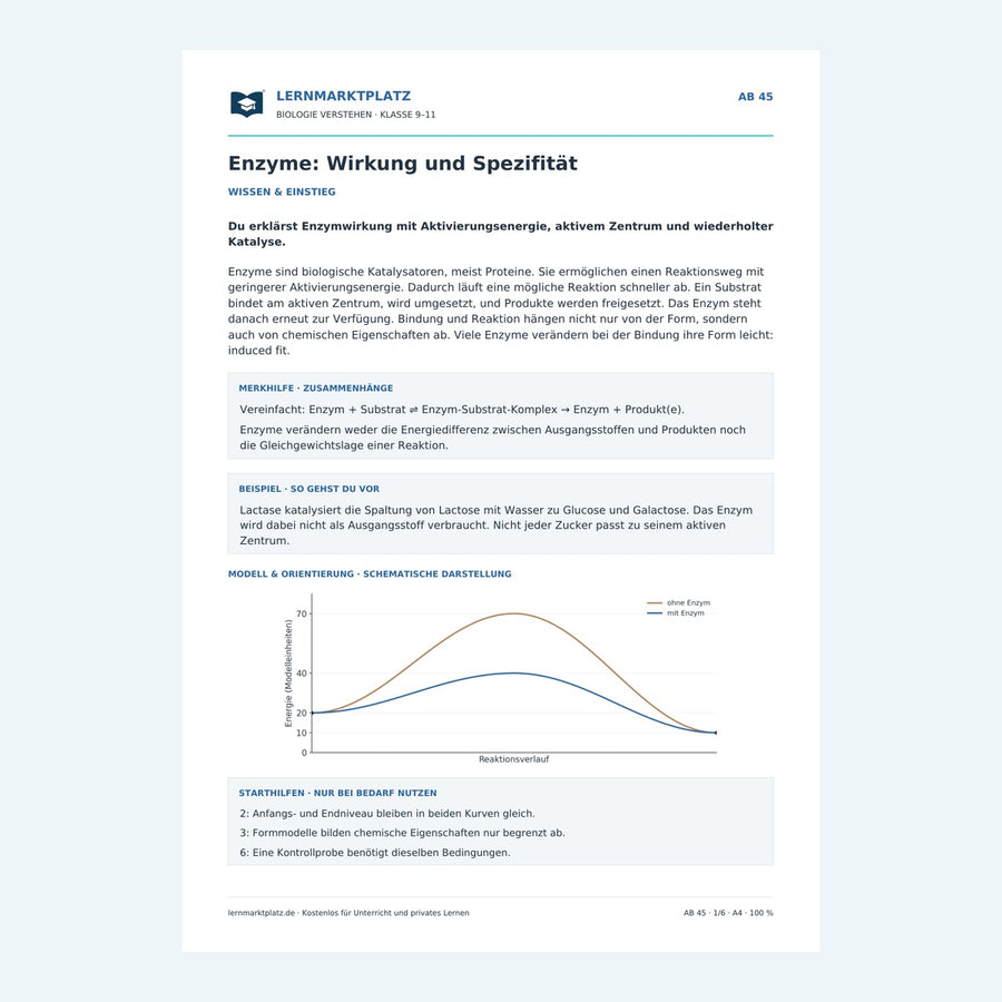 Enzyme: Wirkung und Spezifität – Vorschau des Arbeitsblatts