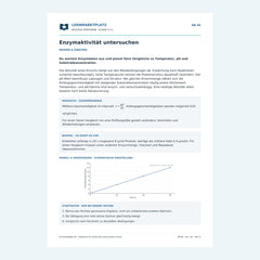 Enzymaktivität untersuchen – kostenloses Biologie-Arbeitsblatt mit Lösungen (PDF)