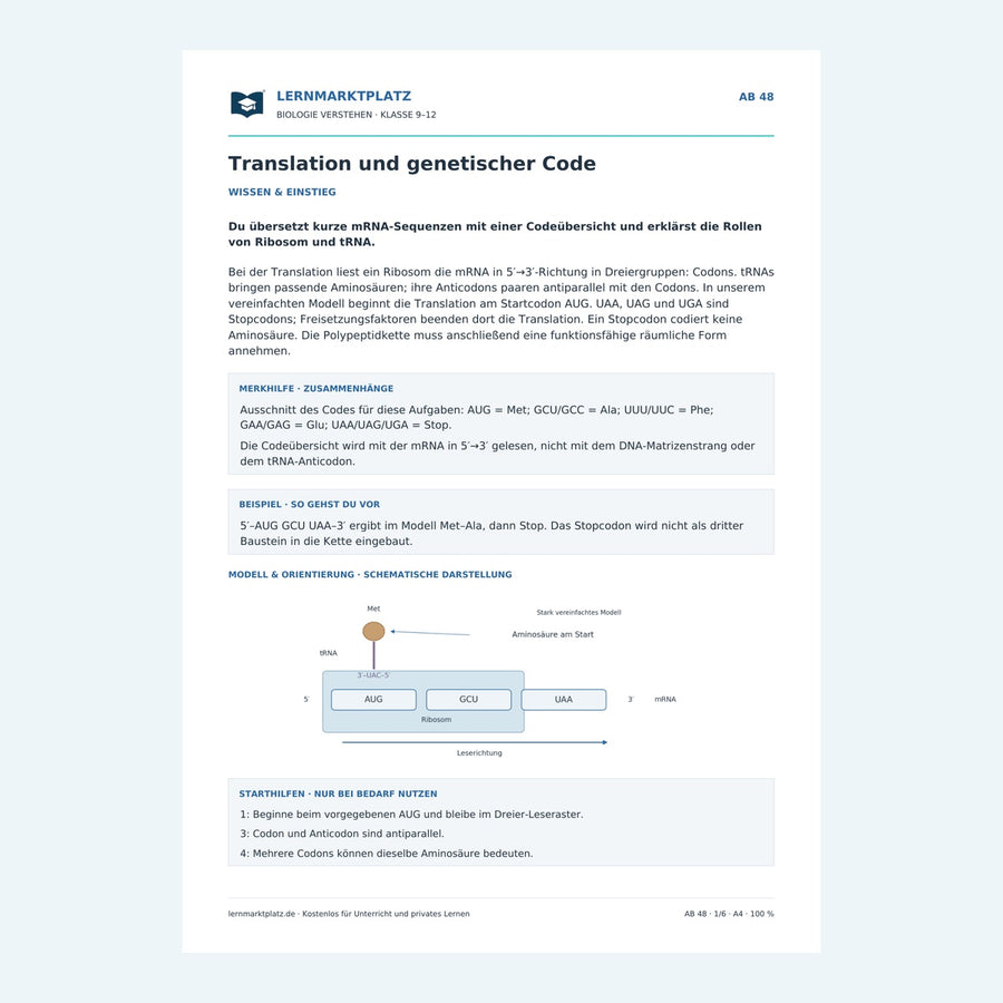 Translation und genetischer Code – Vorschau des Arbeitsblatts