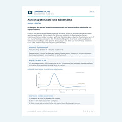 Aktionspotenziale und Reizstärke – kostenloses Biologie-Arbeitsblatt mit Lösungen (PDF)