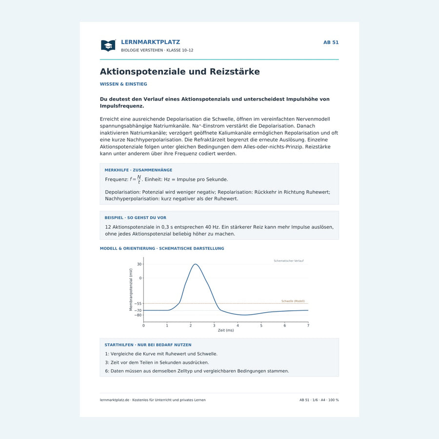Aktionspotenziale und Reizstärke – Vorschau des Arbeitsblatts