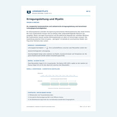 Erregungsleitung und Myelin – kostenloses Biologie-Arbeitsblatt mit Lösungen (PDF)