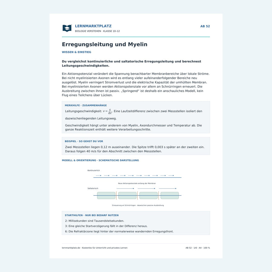 Erregungsleitung und Myelin – Vorschau des Arbeitsblatts