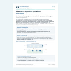 Chemische Synapsen verstehen – kostenloses Biologie-Arbeitsblatt mit Lösungen (PDF)