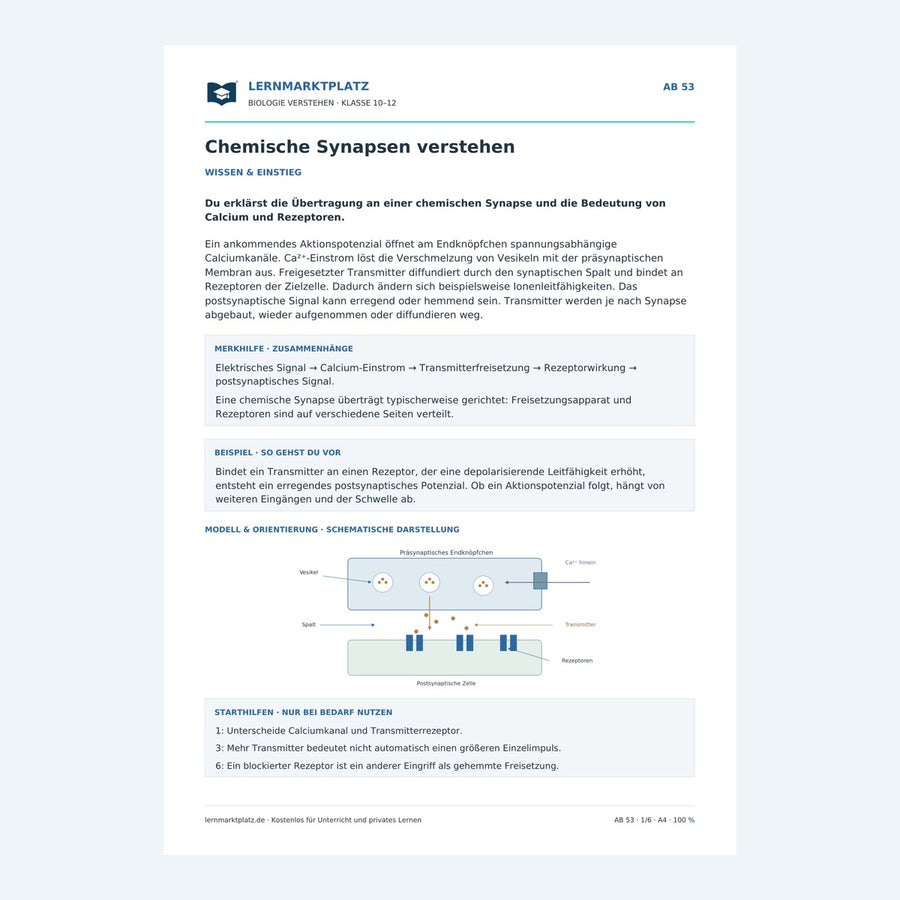 Chemische Synapsen verstehen – Vorschau des Arbeitsblatts