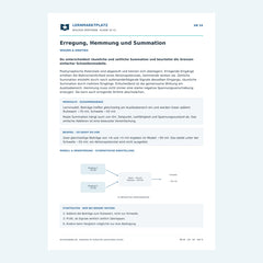 Erregung, Hemmung und Summation – kostenloses Biologie-Arbeitsblatt mit Lösungen (PDF)