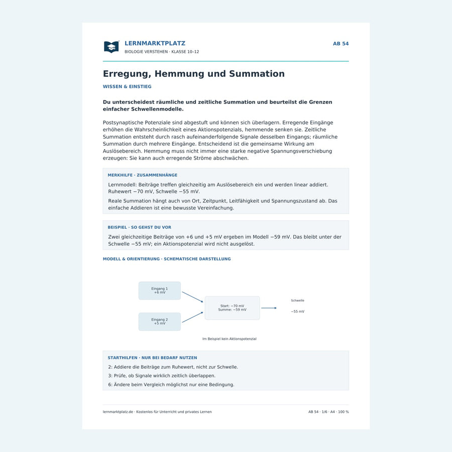 Erregung, Hemmung und Summation – Vorschau des Arbeitsblatts