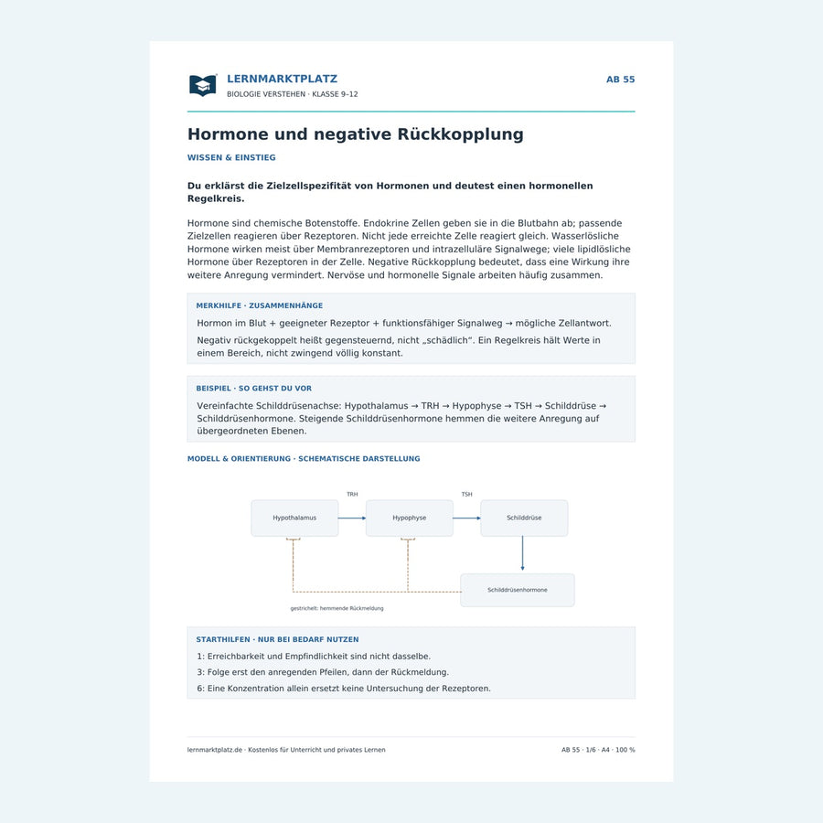 Hormone und negative Rückkopplung – Vorschau des Arbeitsblatts