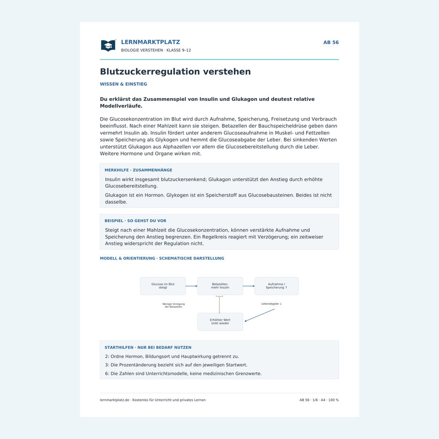 Blutzuckerregulation verstehen – Vorschau des Arbeitsblatts