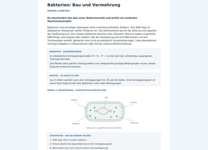 Bakterien: Bau und Vermehrung – Vorschau des Arbeitsblatts