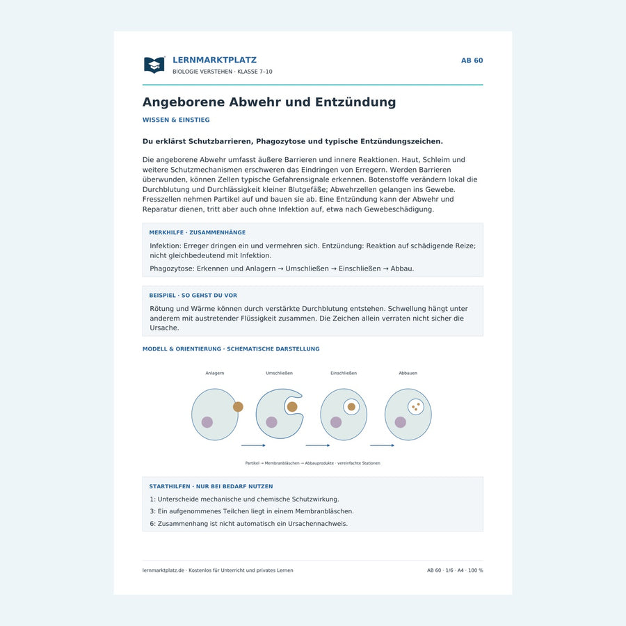 Angeborene Abwehr und Entzündung – Vorschau des Arbeitsblatts