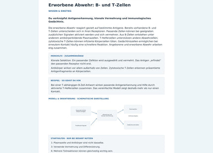 Erworbene Abwehr: B- und T-Zellen – Vorschau des Arbeitsblatts