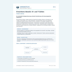 Erworbene Abwehr: B- und T-Zellen – kostenloses Biologie-Arbeitsblatt mit Lösungen (PDF)