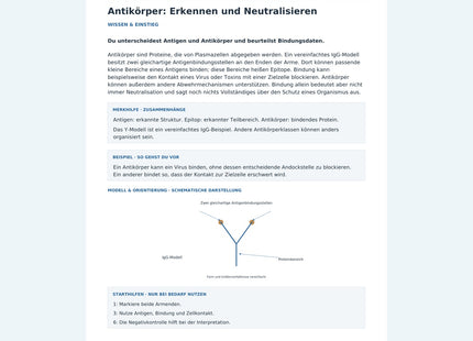 Antikörper: Erkennen und Neutralisieren – Vorschau des Arbeitsblatts