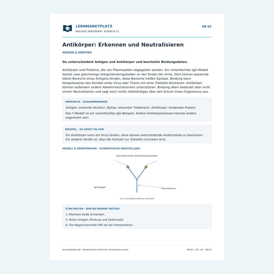 Antikörper: Erkennen und Neutralisieren – Vorschau des Arbeitsblatts