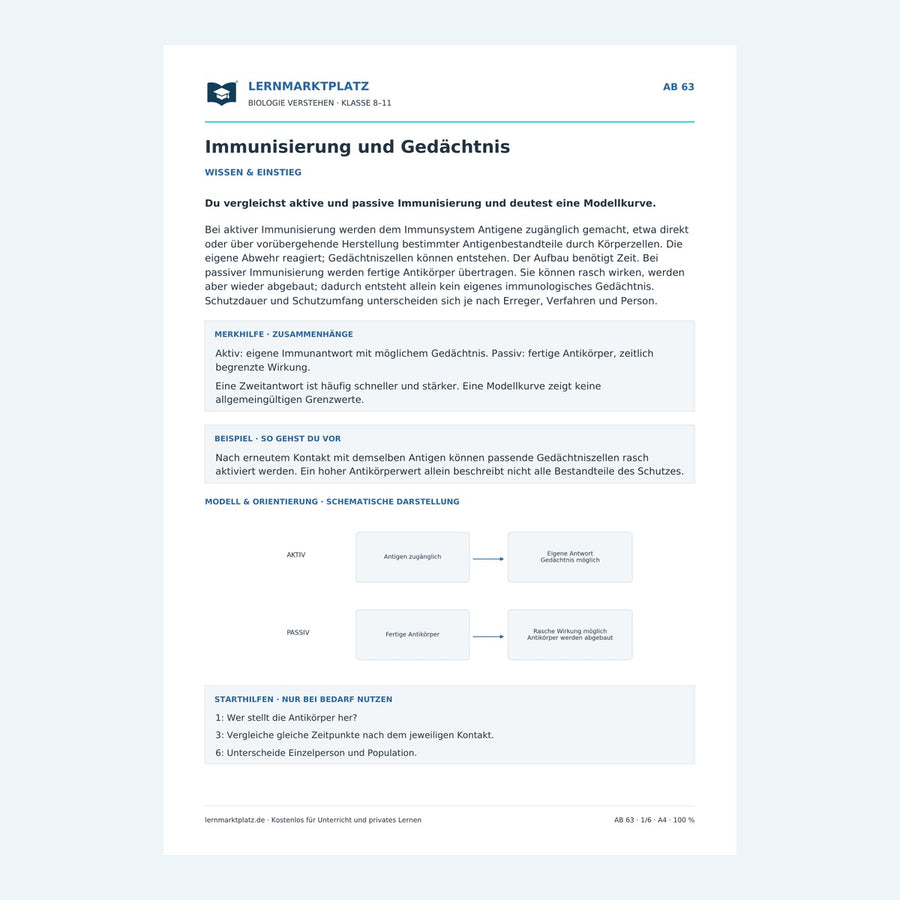 Immunisierung und Gedächtnis – Vorschau des Arbeitsblatts
